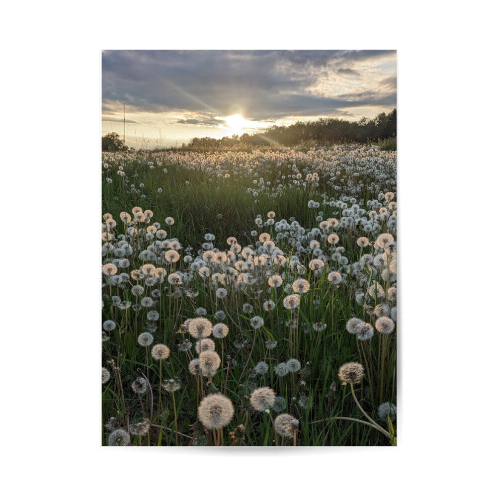 60155246-0146-4ba3-a02a-56798bfa1d9a