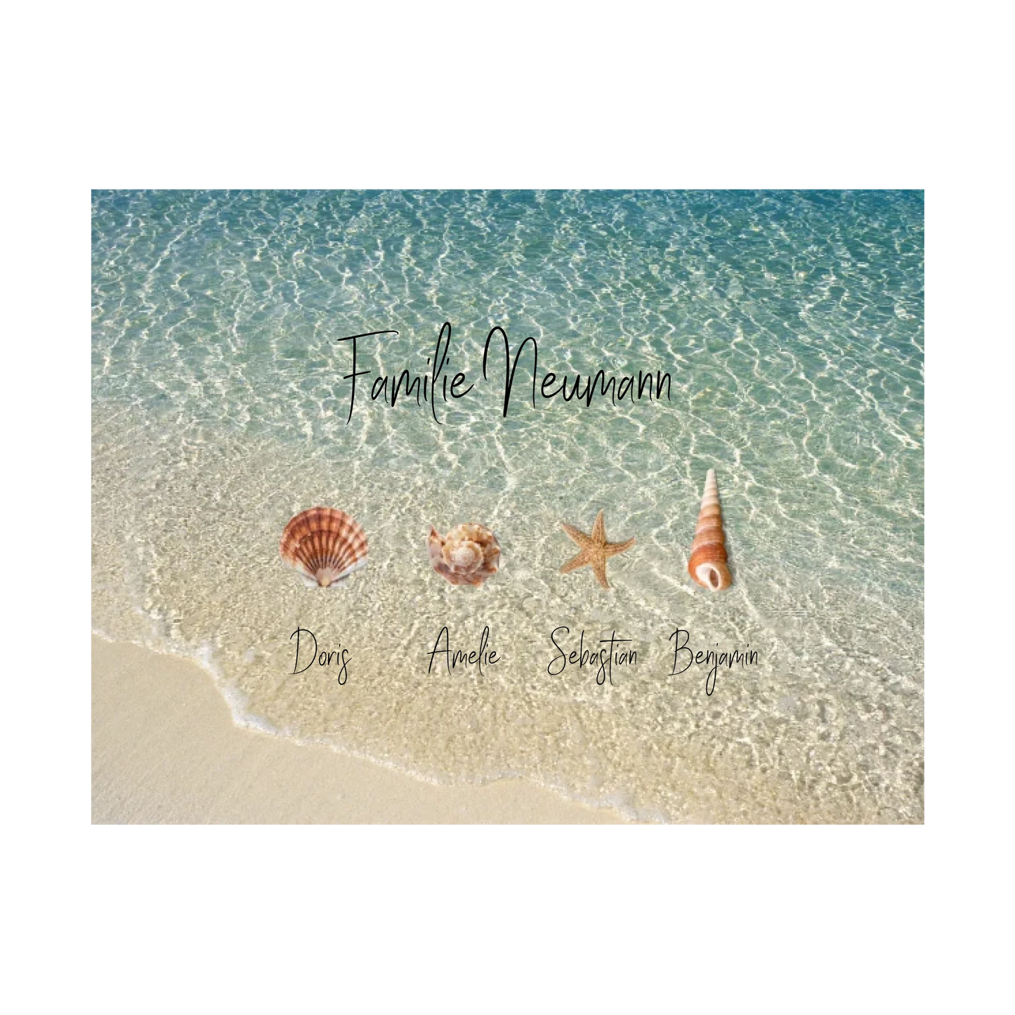 Familie Muscheln