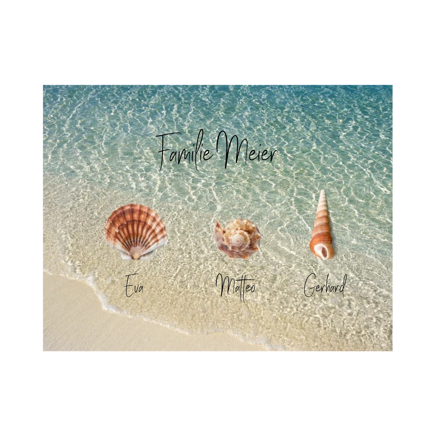 Familie Muscheln