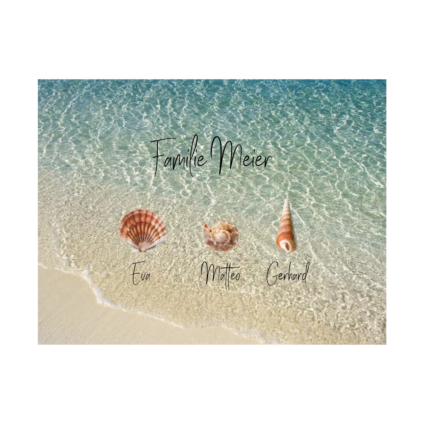 Familie Muscheln