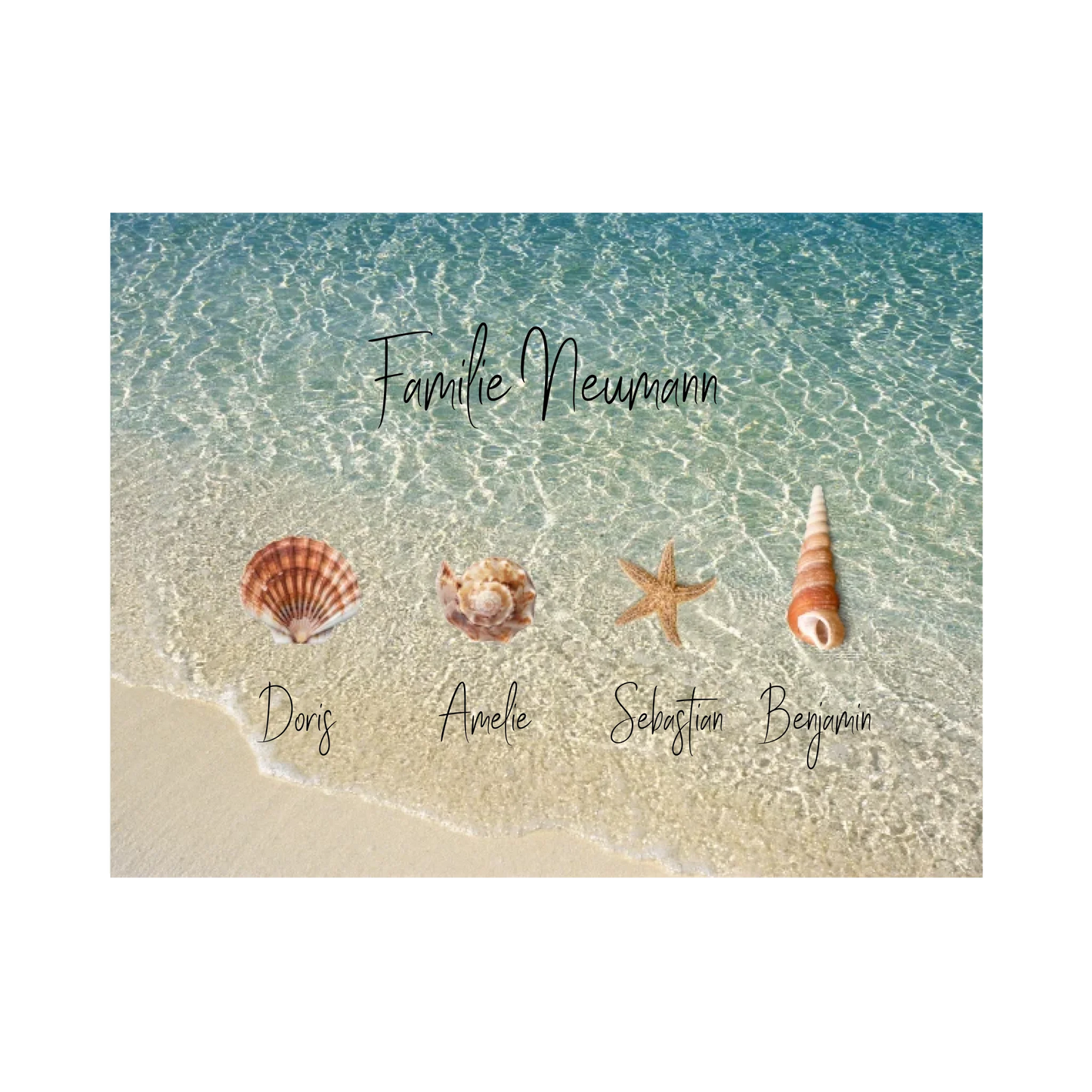 Familie Muscheln