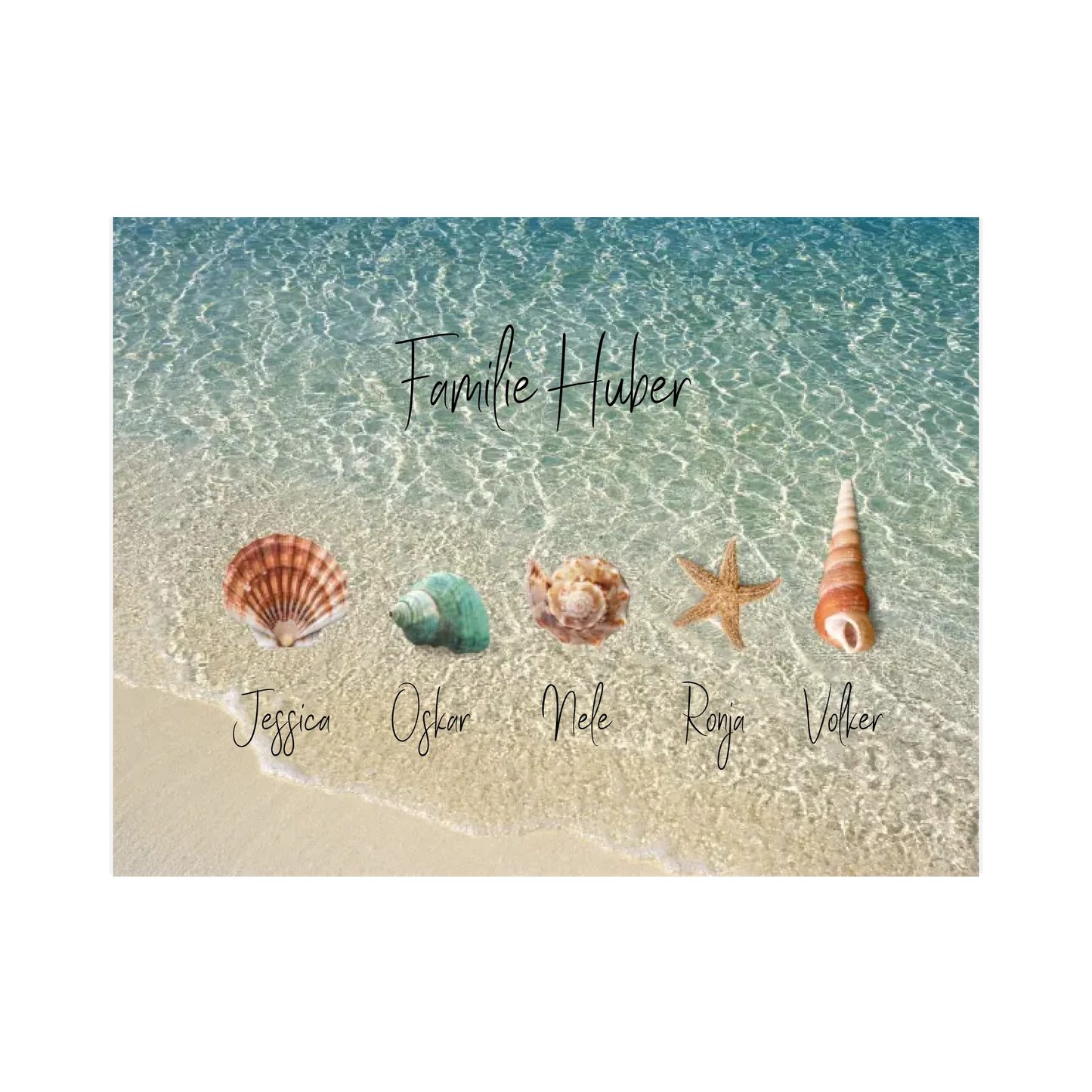 Familie Muscheln