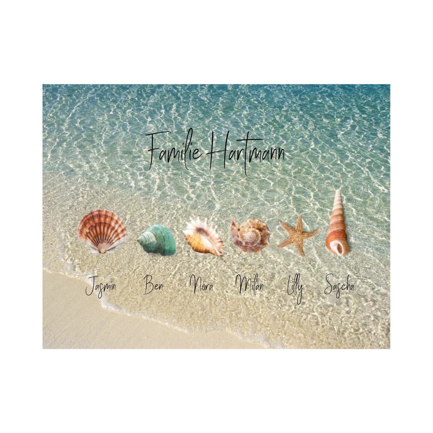 Familie Muscheln