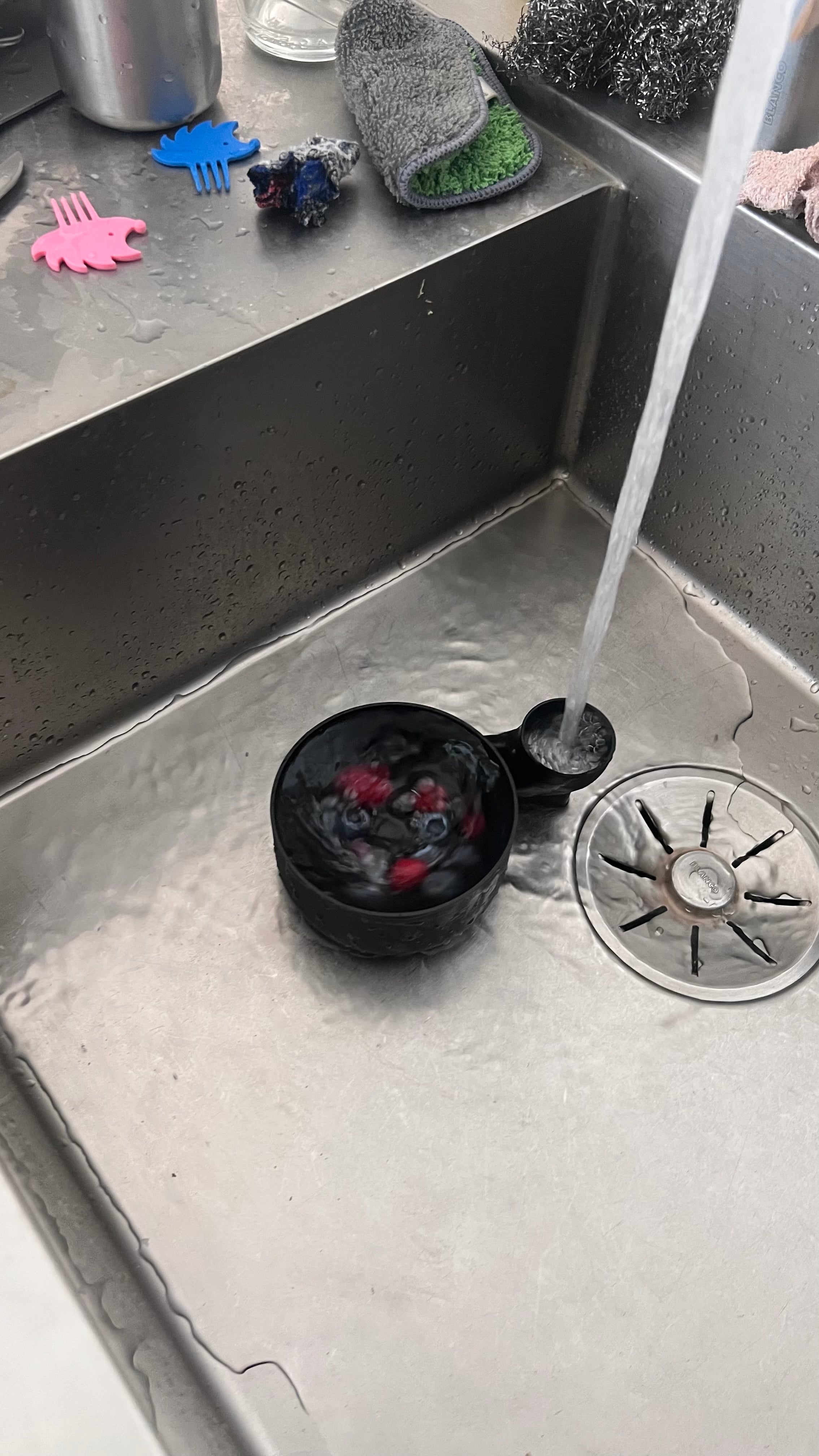 Obst- und Gemüse Waschhilfe - automatischer Strudel zur leichten Reinigung