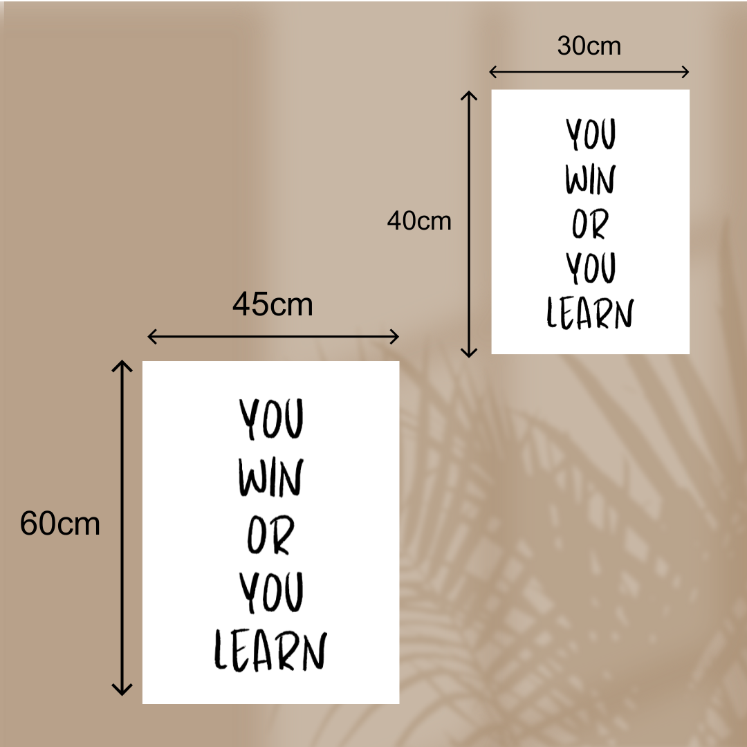 Poster You win or you learn