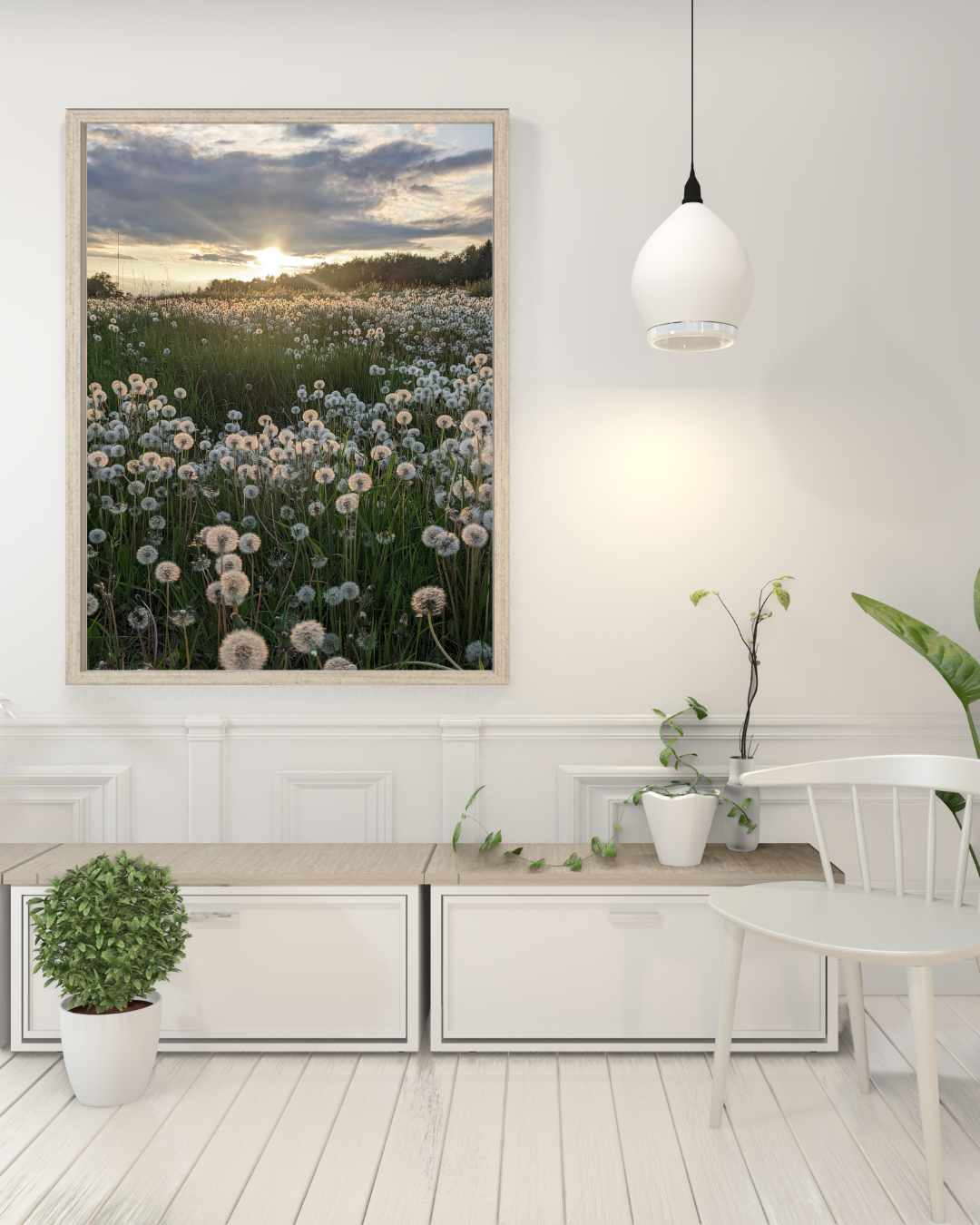 Pusteblumen im Sonnenuntergang